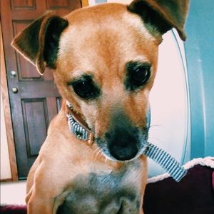 Meet your Posher, Nallely